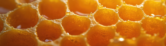 cire d'abeille